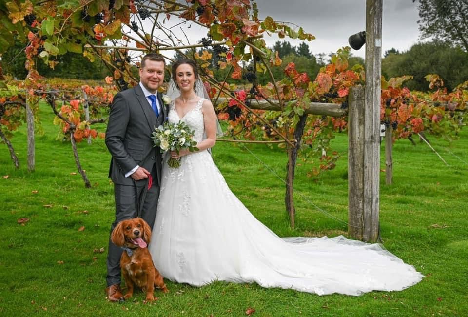 The ‘I Do’ Dog Crew @ All the B’s Pet Services-Image-8
