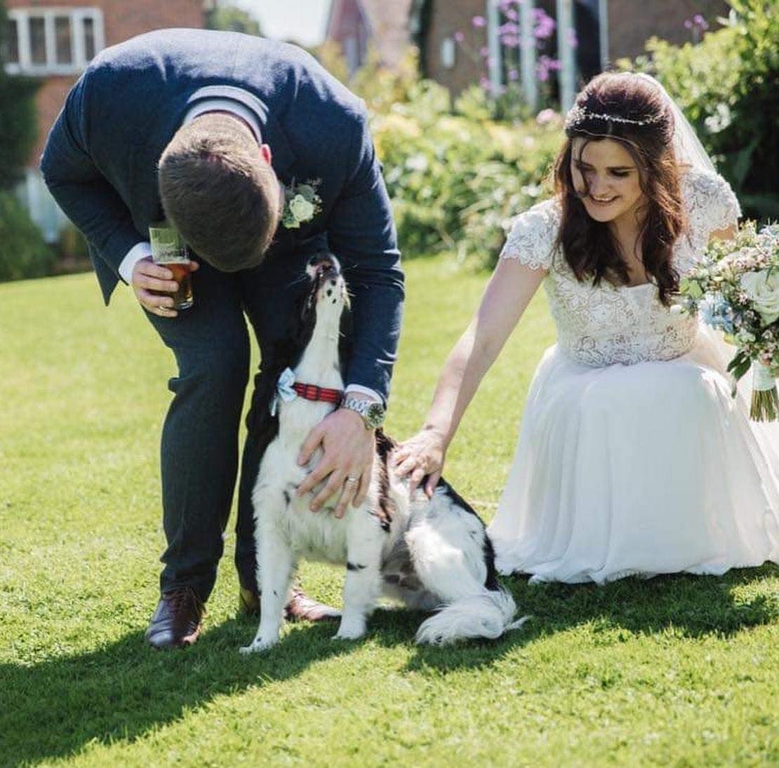 The ‘I Do’ Dog Crew @ All the B’s Pet Services-Image-7