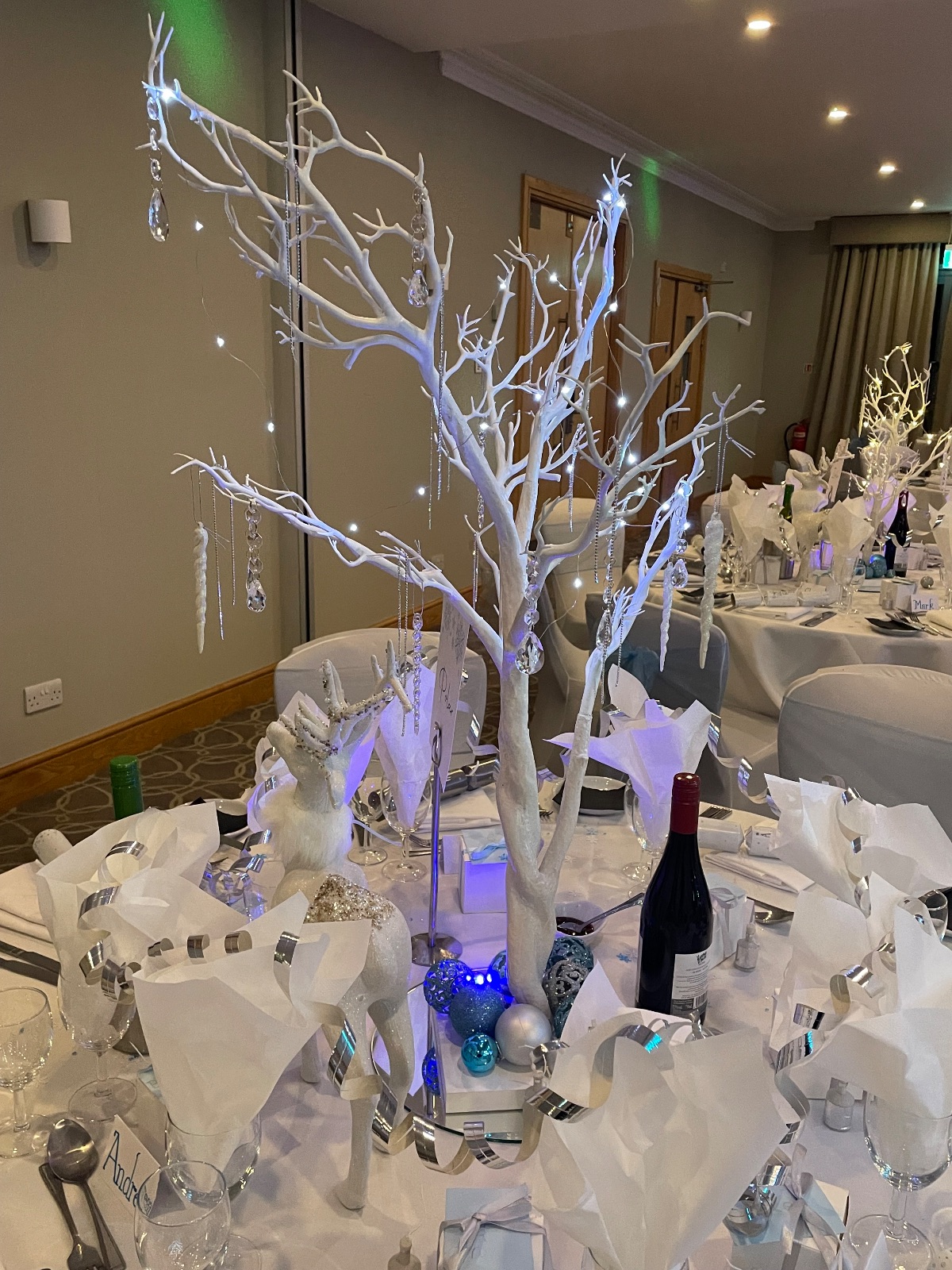 Annrose Events-Image-9