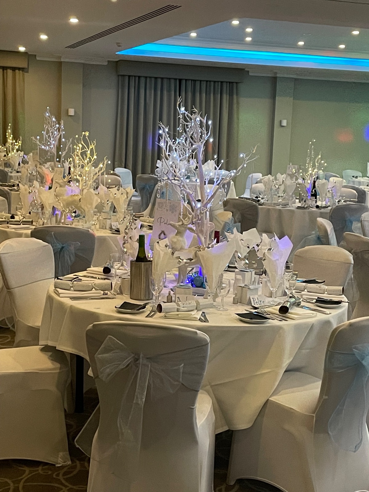 Annrose Events-Image-10