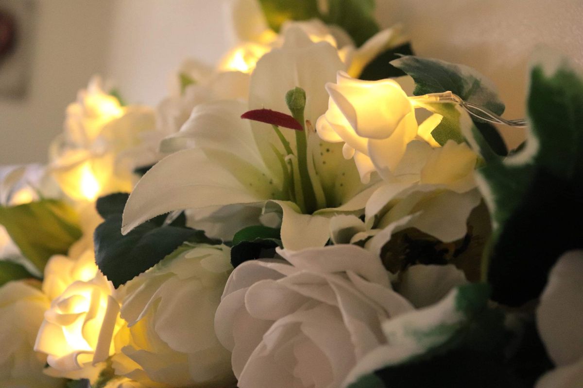 Annrose Events-Image-15