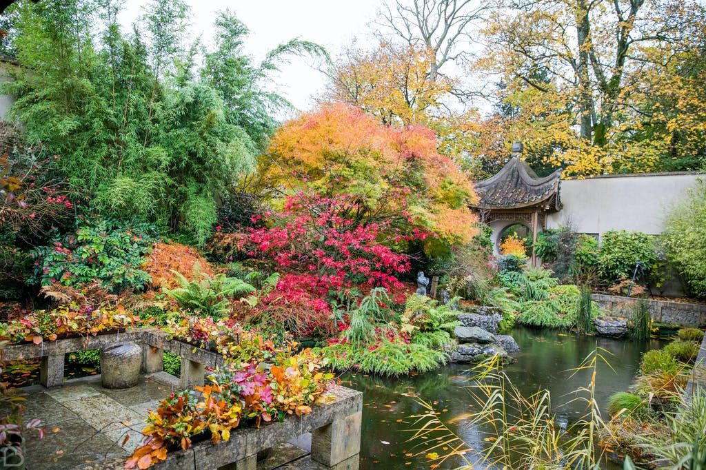 Gallery Item 8 for Matara