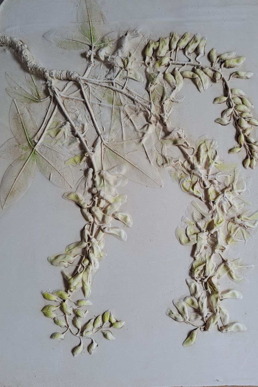 Kate Botanical Artist-Image-10