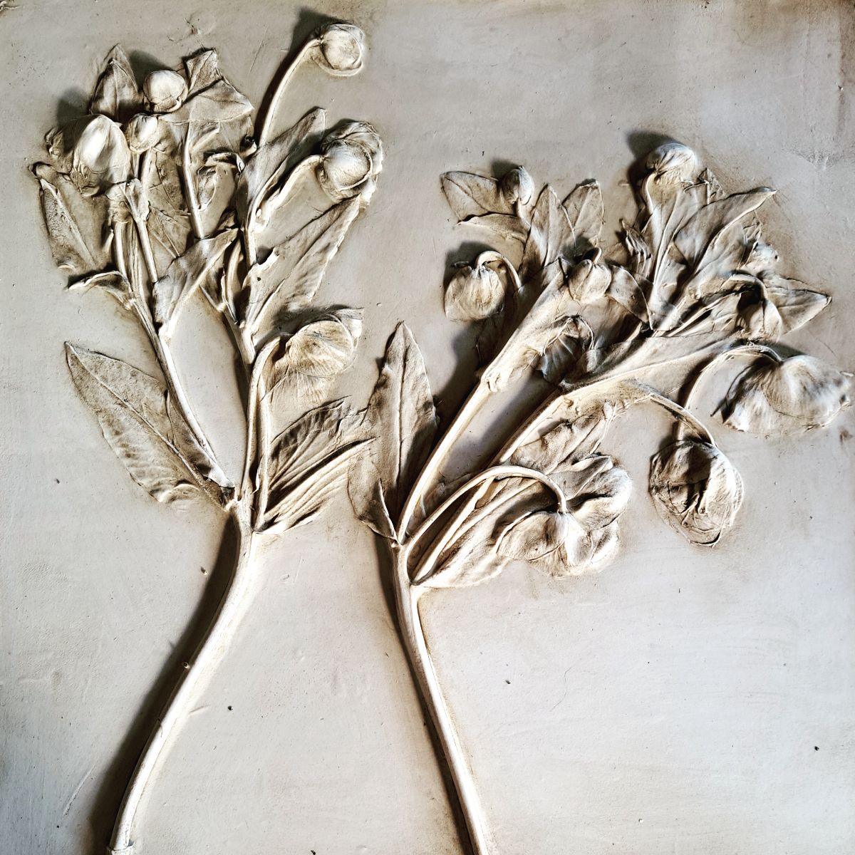 Kate Botanical Artist-Image-3