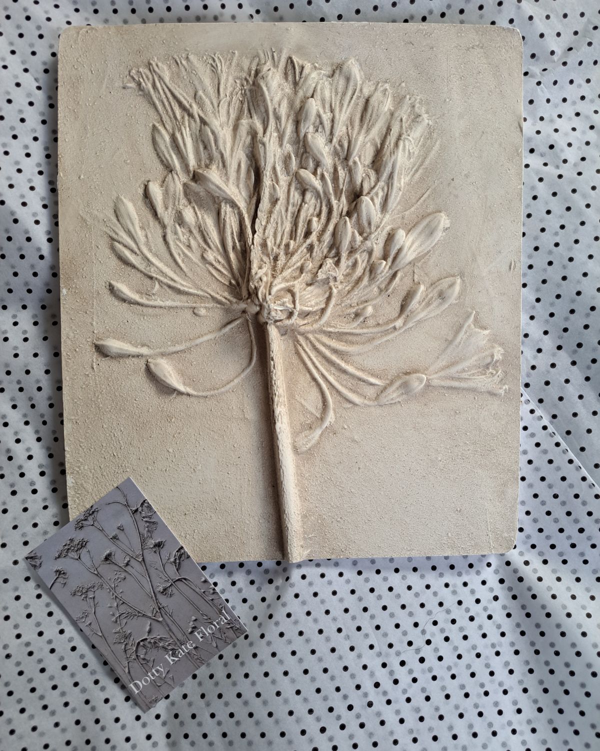 Kate Botanical Artist-Image-1