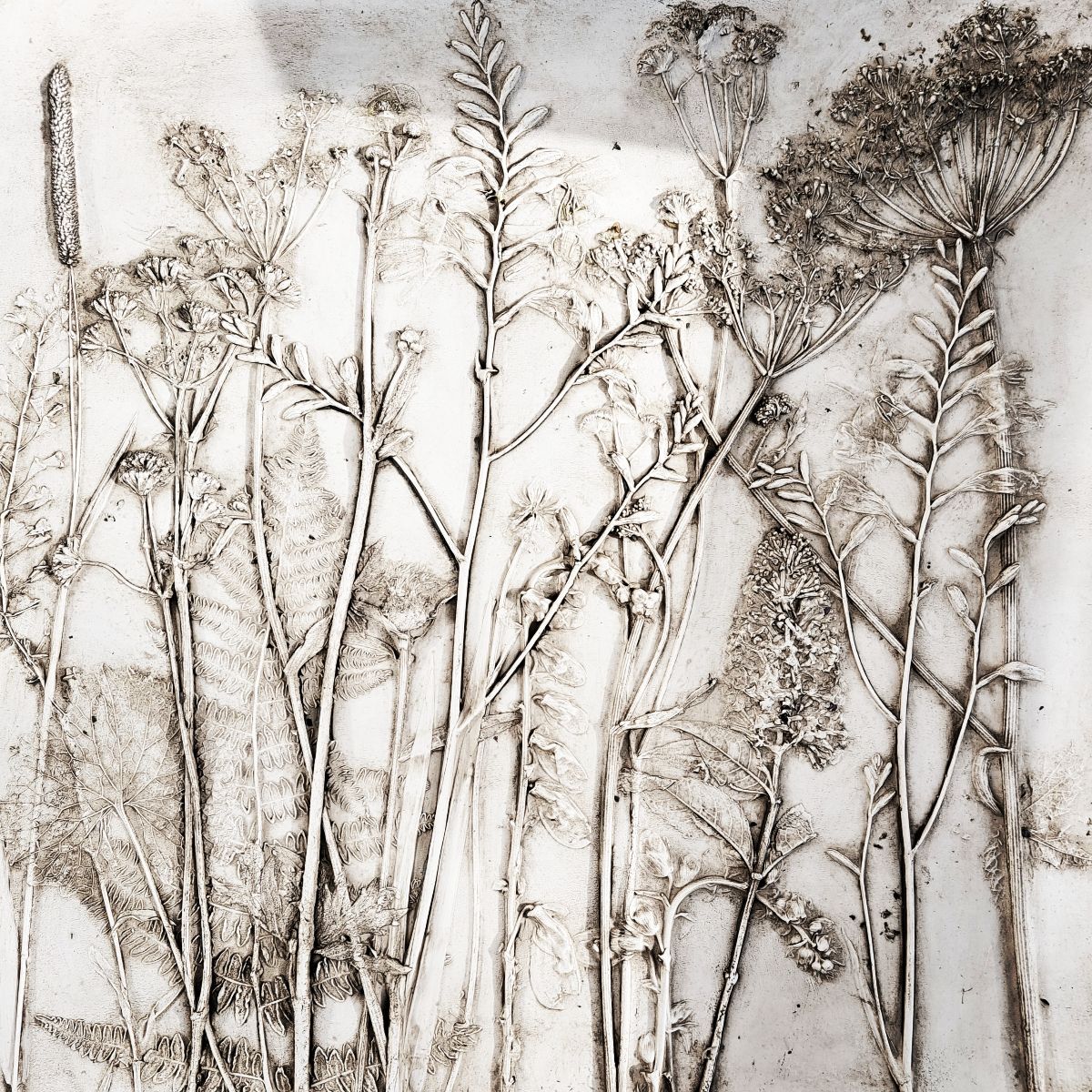 Kate Botanical Artist-Image-7