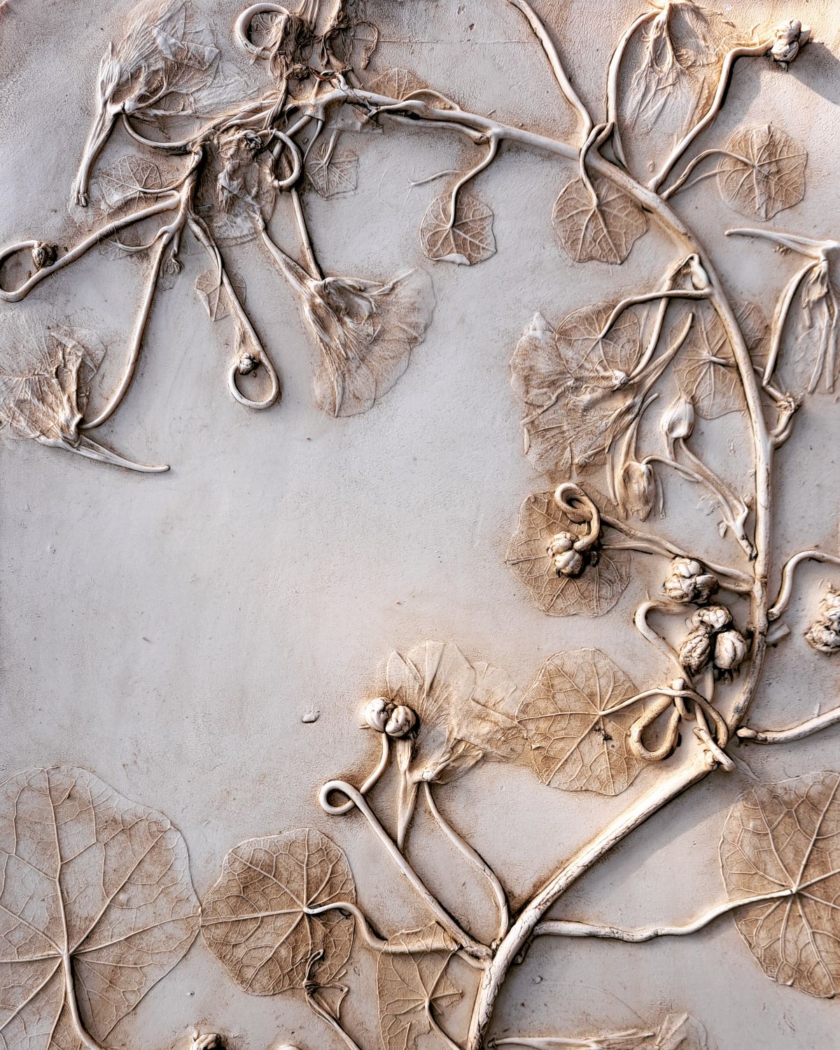 Kate Botanical Artist-Image-6