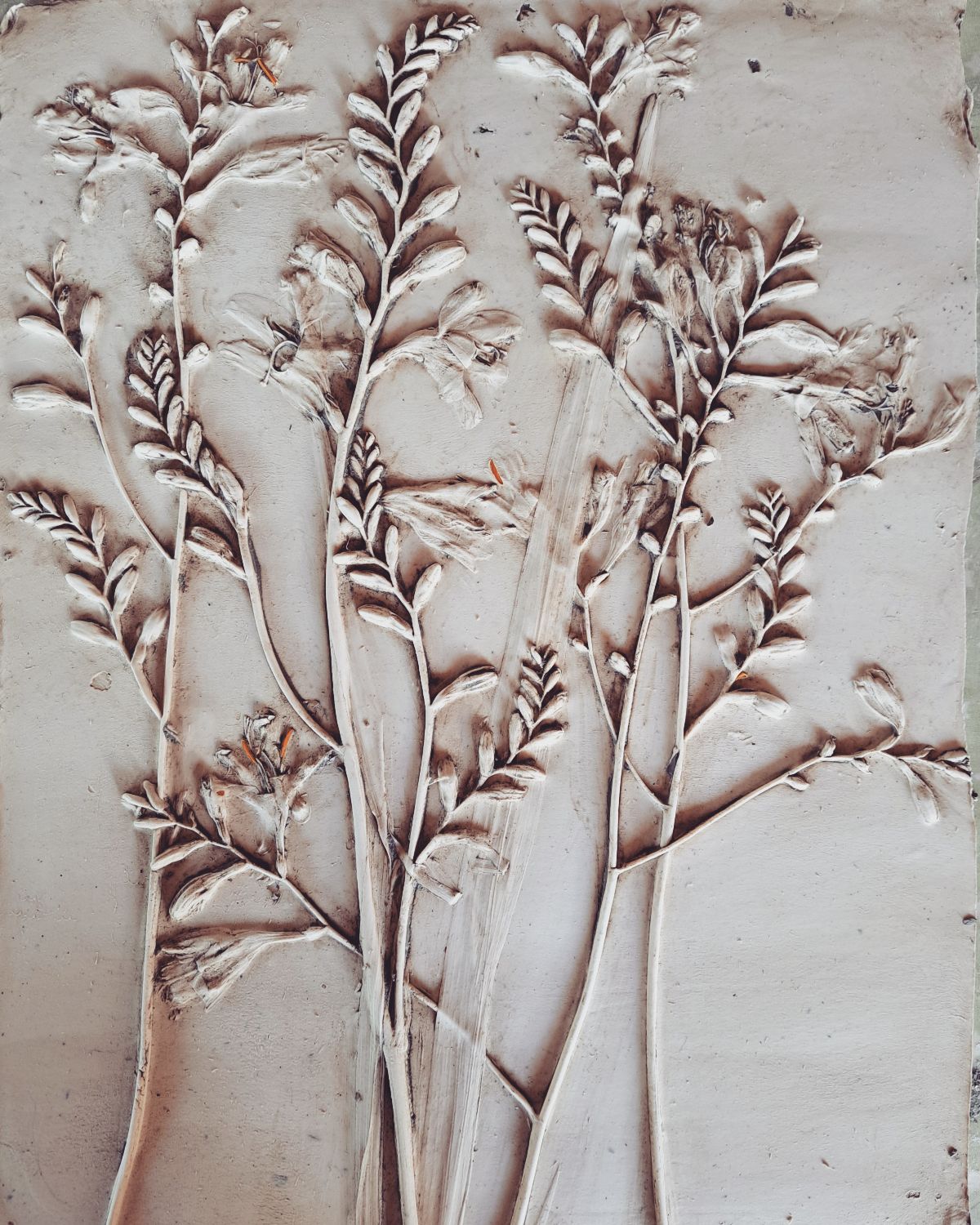 Kate Botanical Artist-Image-4