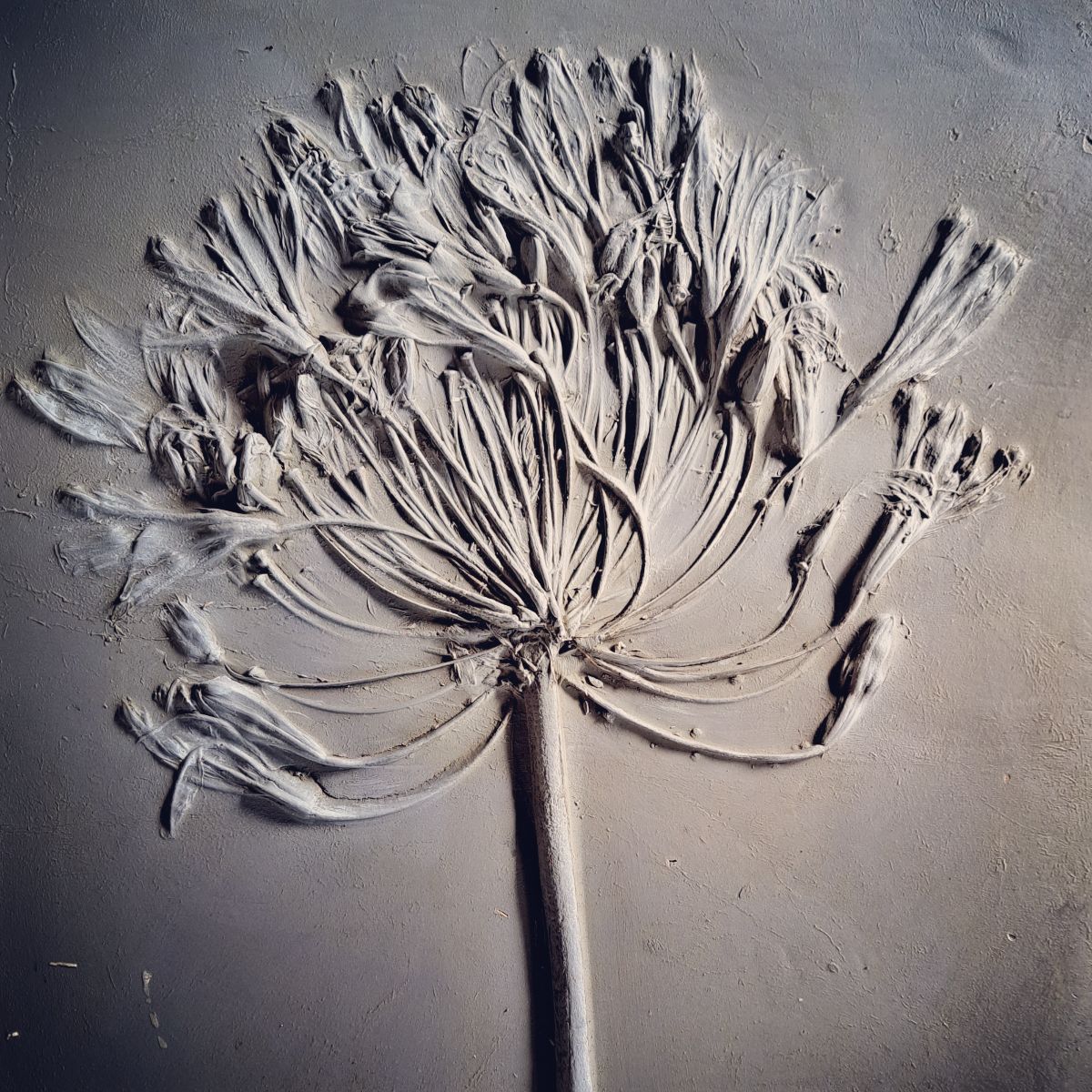 Kate Botanical Artist-Image-5