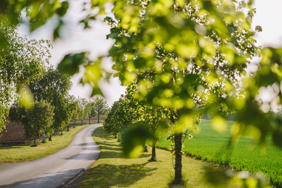 Gallery Item 72 for The Priory Barn and Cottages