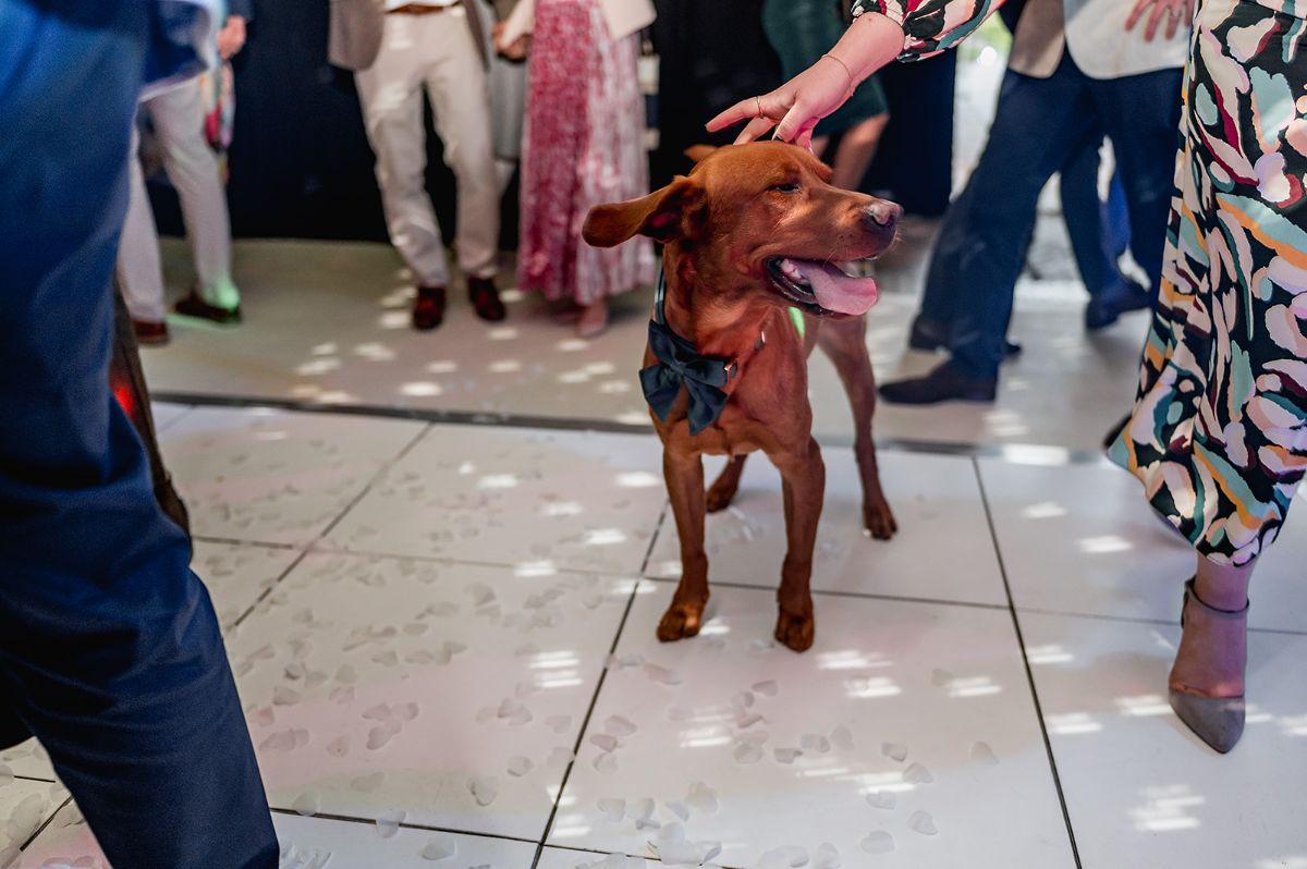 Gallery Item 9 for The Priory Barn and Cottages