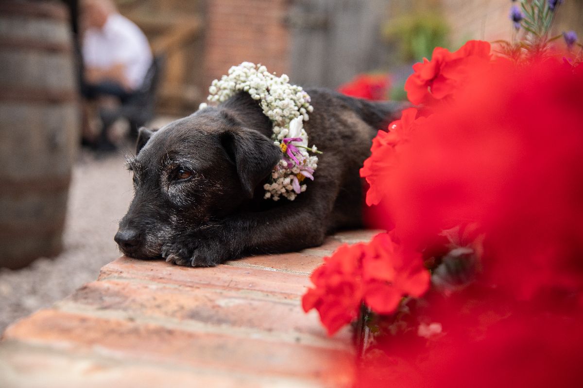 Gallery Item 58 for Mapperley Farm Events Venue