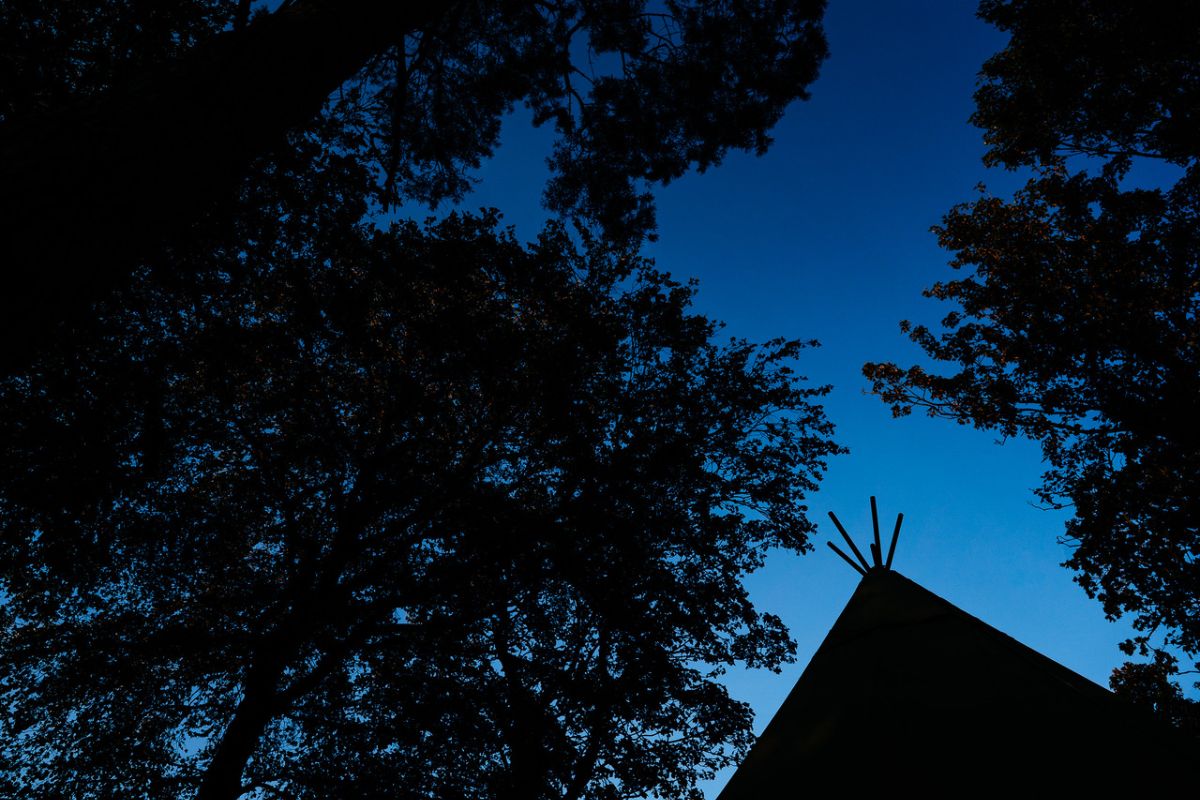Gallery Item 57 for Castletown Woodland Weddings 