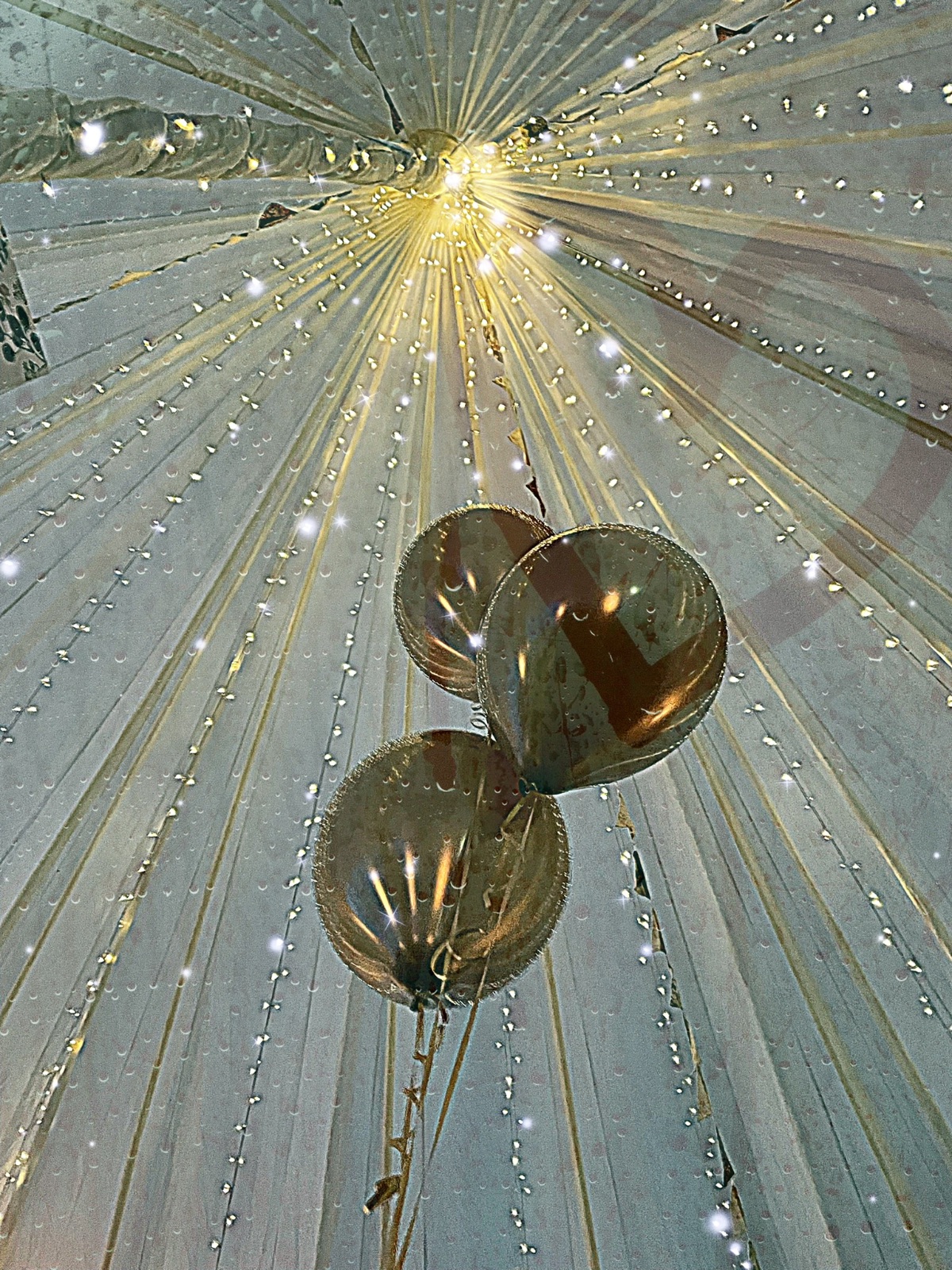 Gallery Item 57 for Departure Lounge Cafe