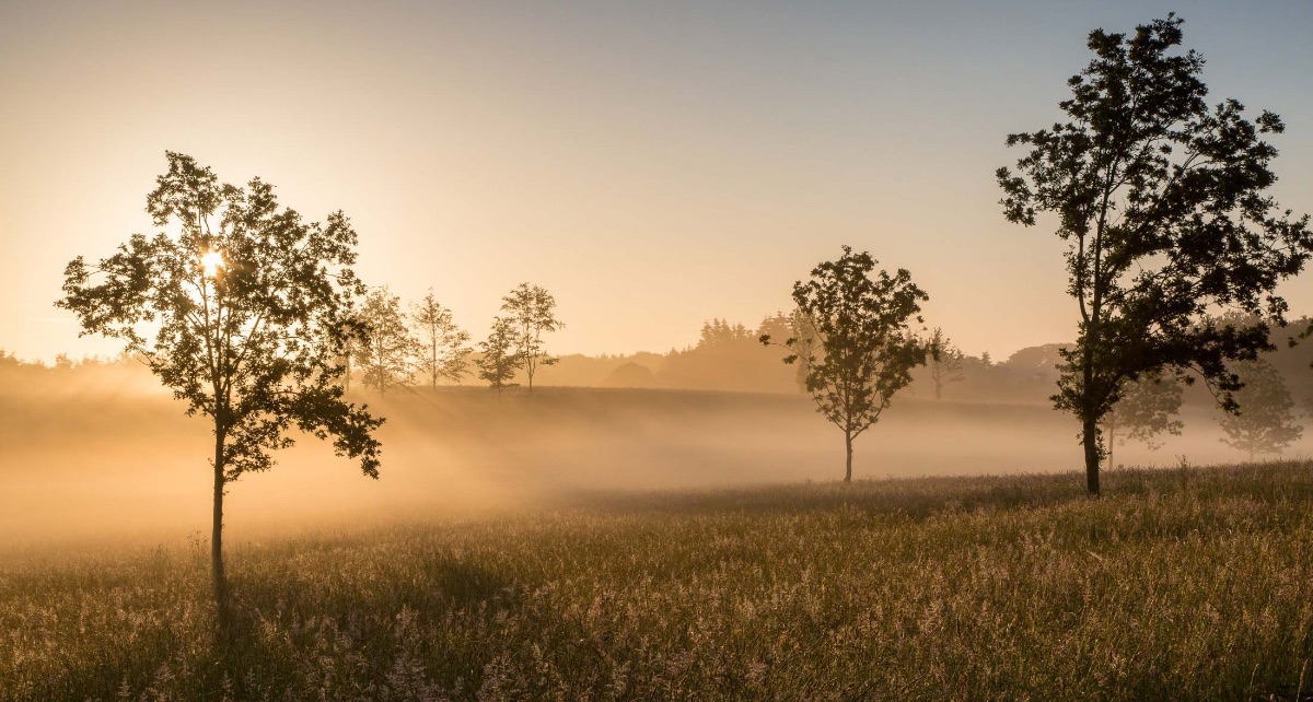 Gallery Item 52 for Chaucer Barn