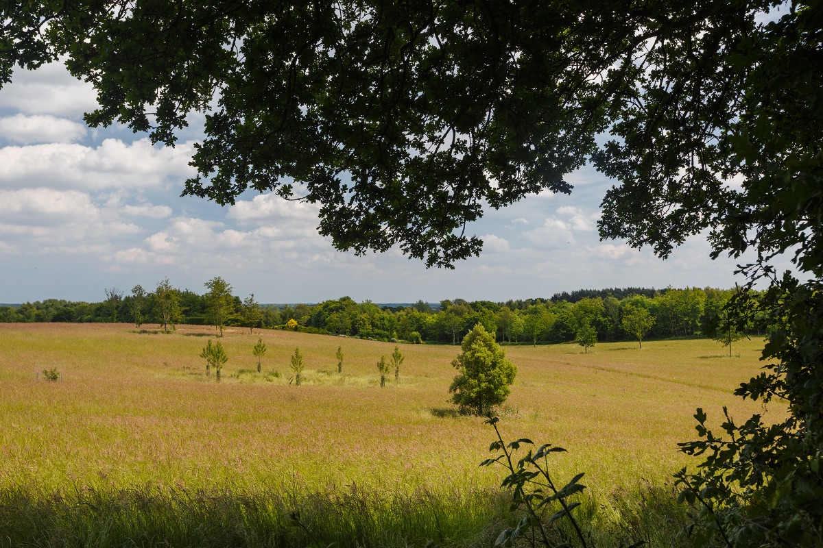 Gallery Item 23 for Chaucer Barn