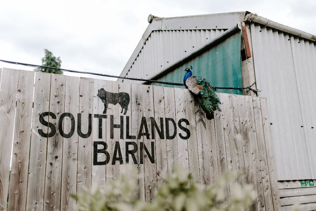 Gallery Item 9 for Southlands Barn