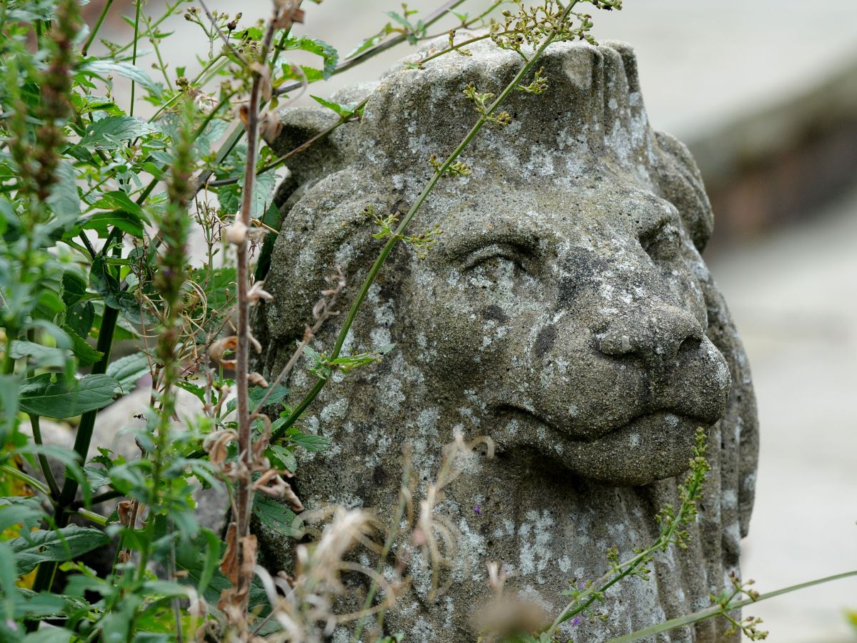 Gallery Item 38 for Marygreen Manor Hotel