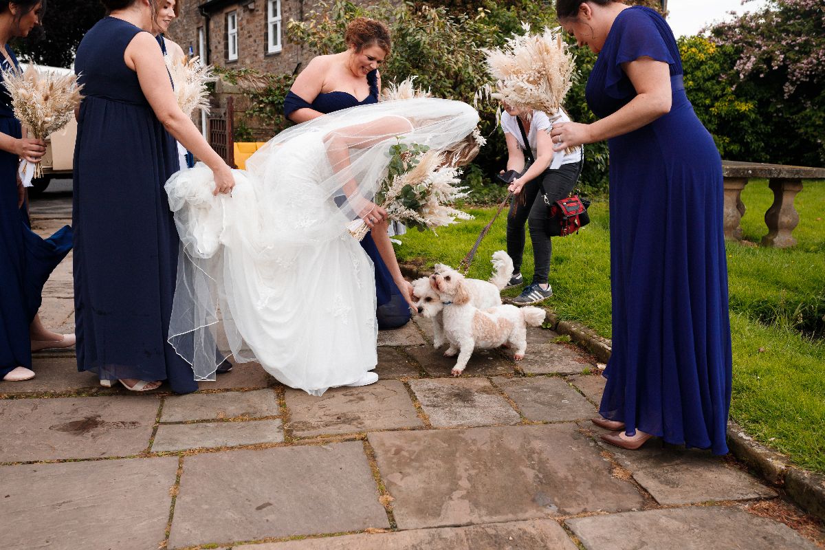 Jane Ball Photography-Image-45