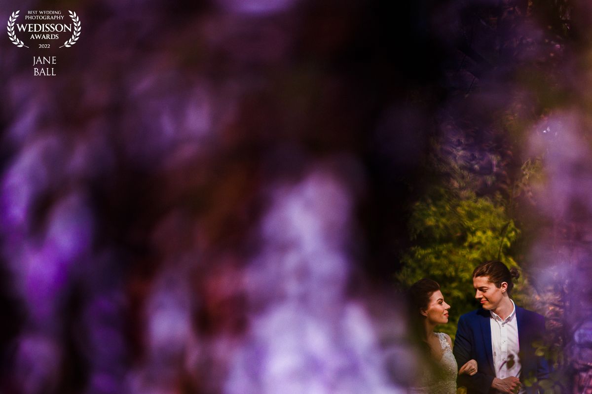 Jane Ball Photography-Image-76