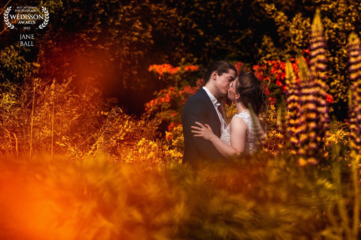 Jane Ball Photography-Image-63