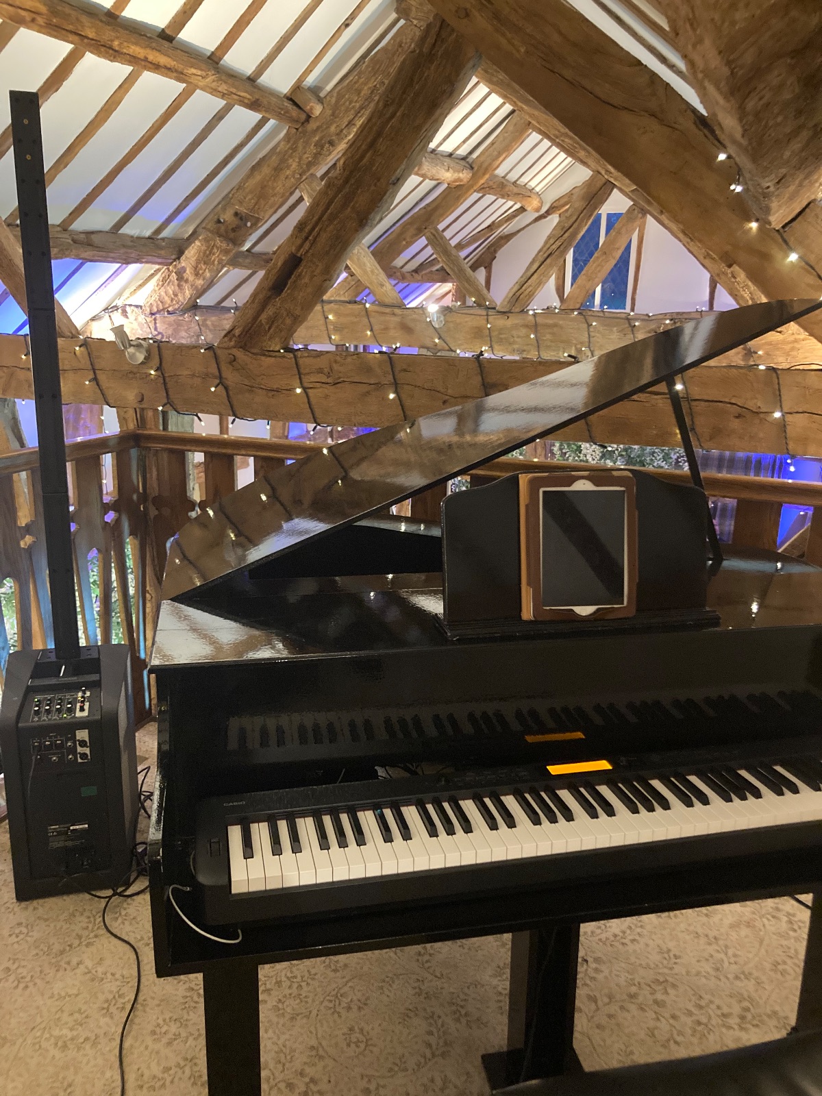 Chris Morris - Pianist -Image-46