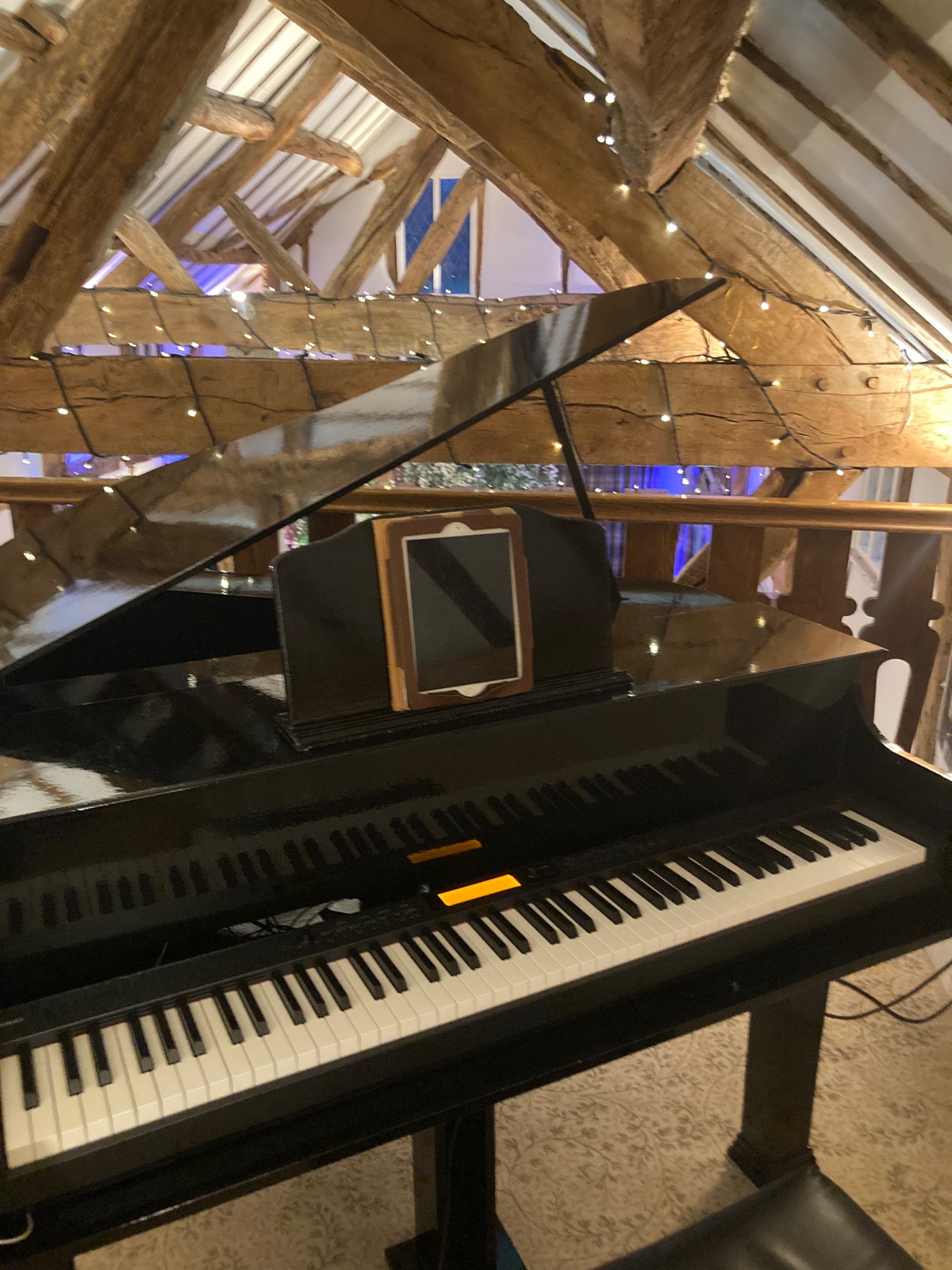 Chris Morris - Pianist -Image-52