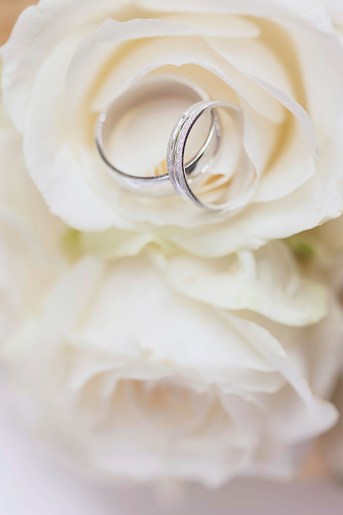 Prestige Weddings-Image-174