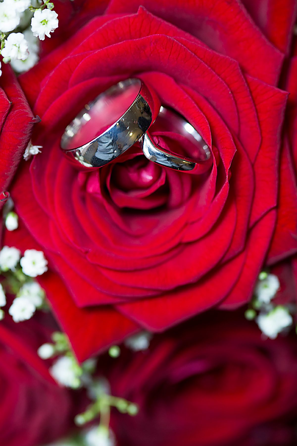 Prestige Weddings-Image-142