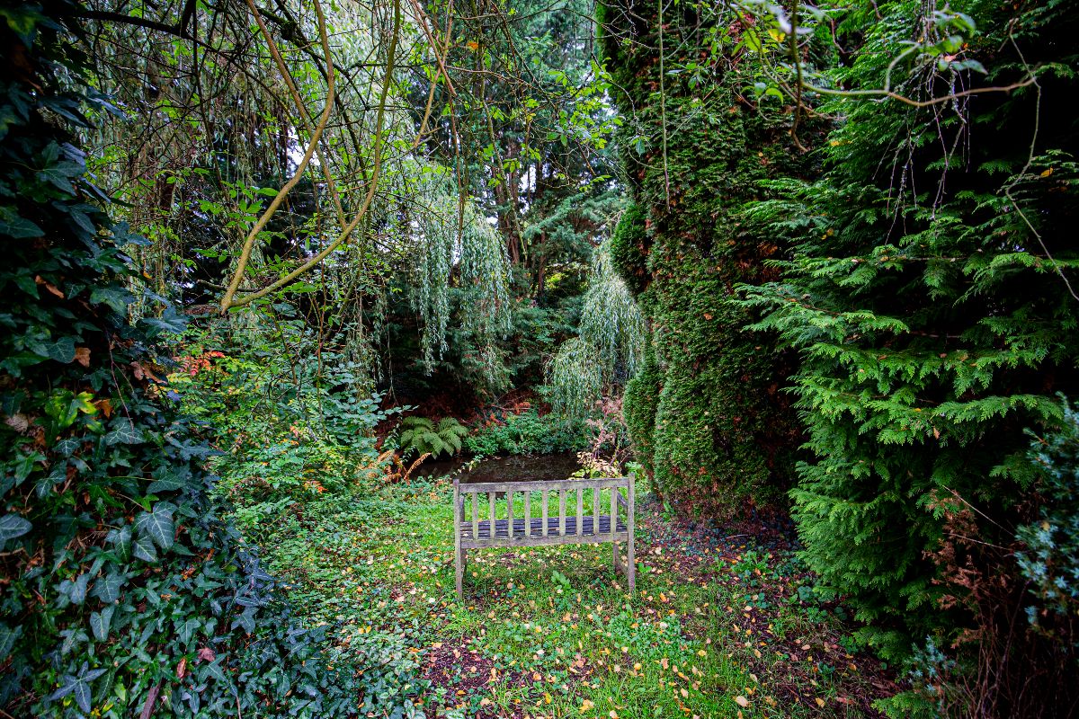 Gallery Item 15 for Selgars Mill Estate