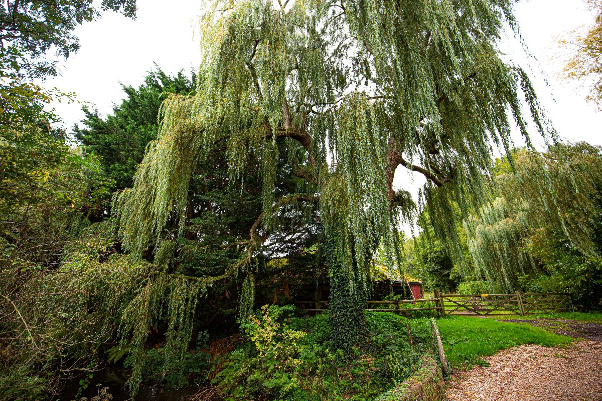 Gallery Item 24 for Selgars Mill Estate