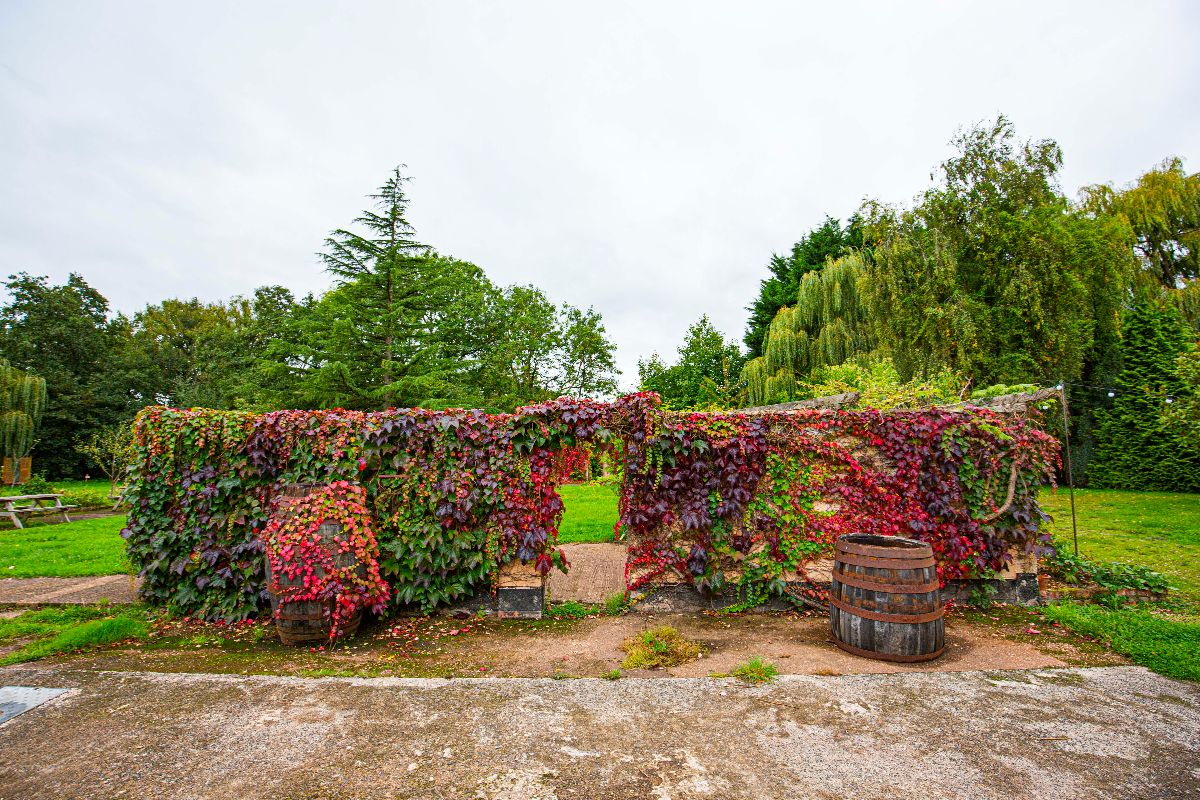 Gallery Item 32 for Selgars Mill Estate