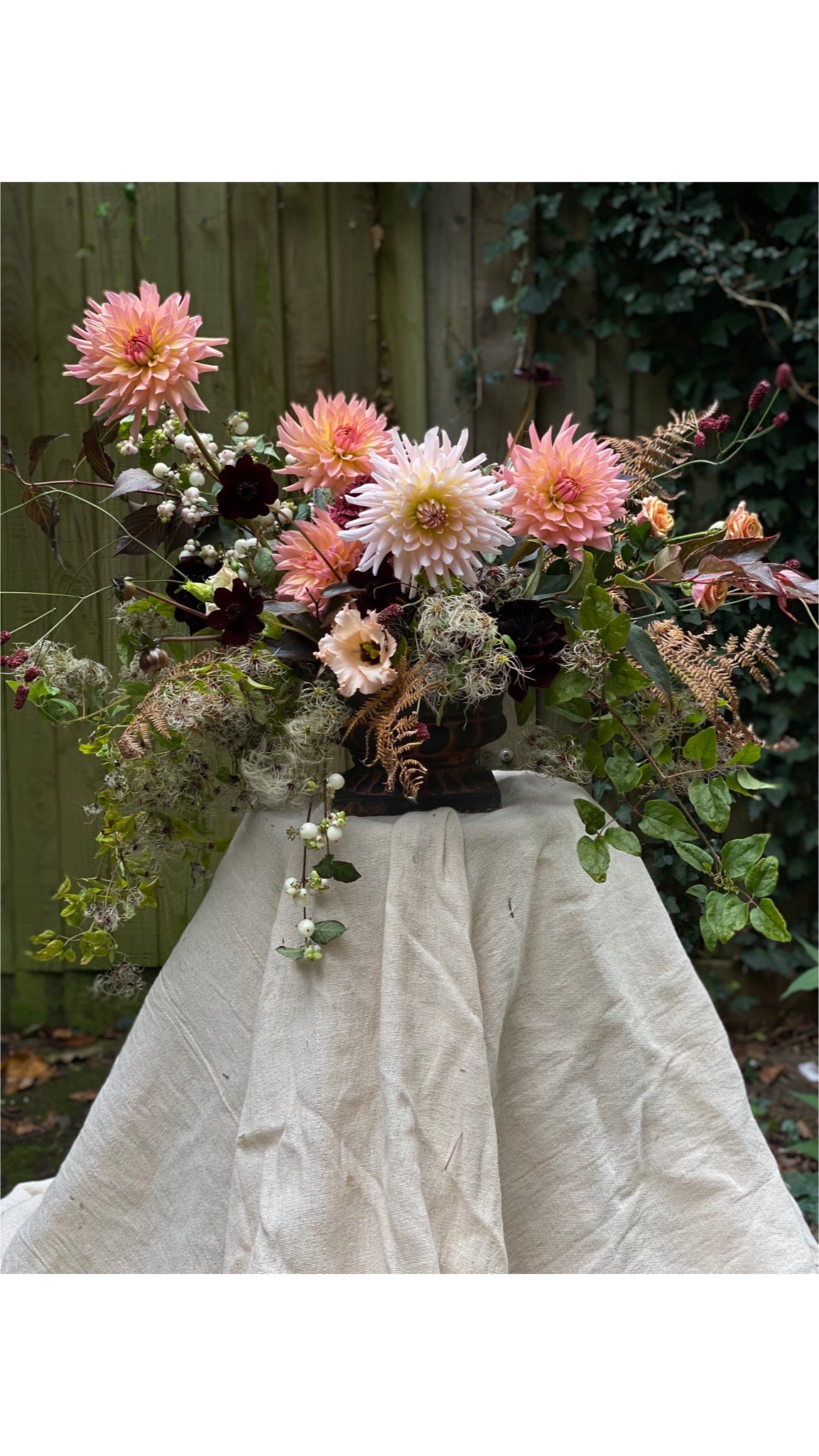 Pesh Flowers-Image-74