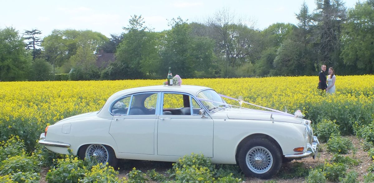 Torbay Wedding Car Club-Image-28