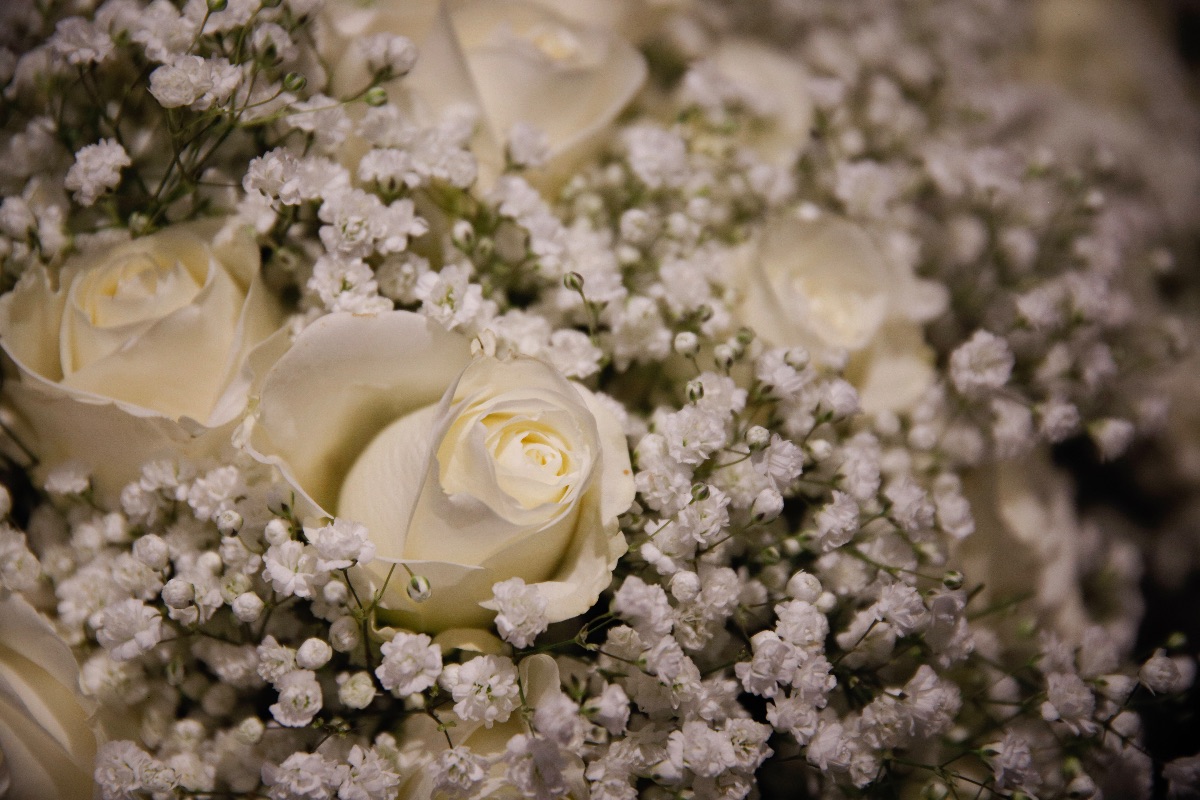 Designed by Carley -Image-63
