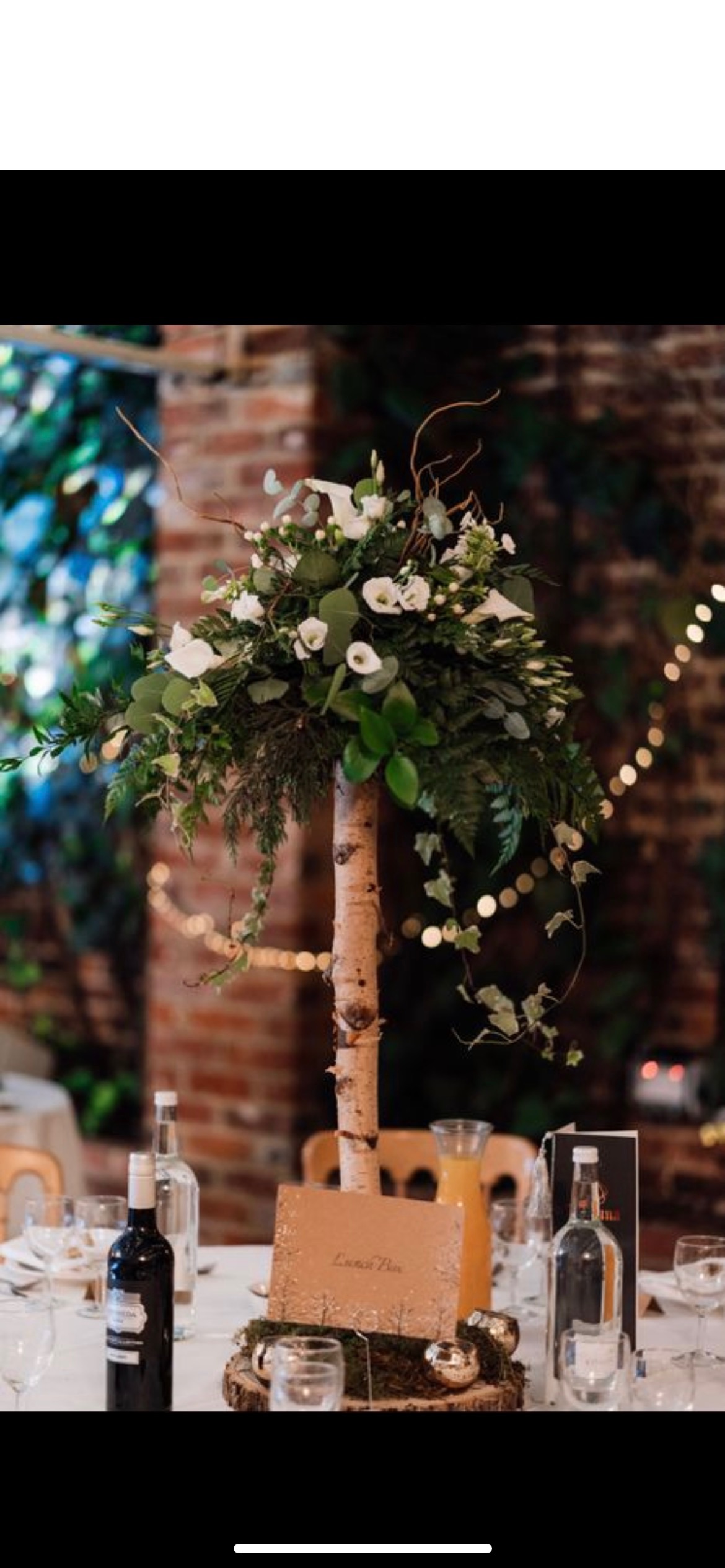 Designed by Carley -Image-24