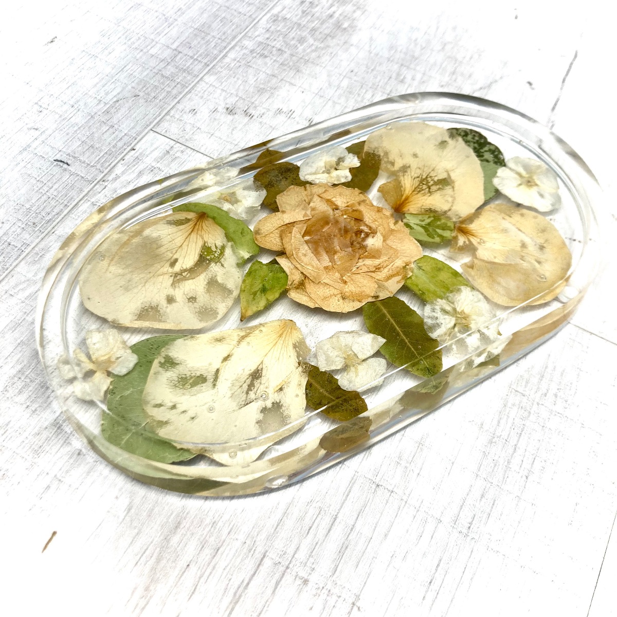 Nogard Creations -Image-112