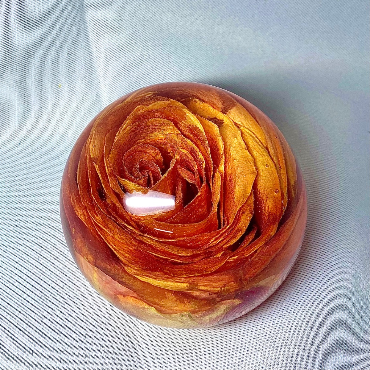 Nogard Creations -Image-94