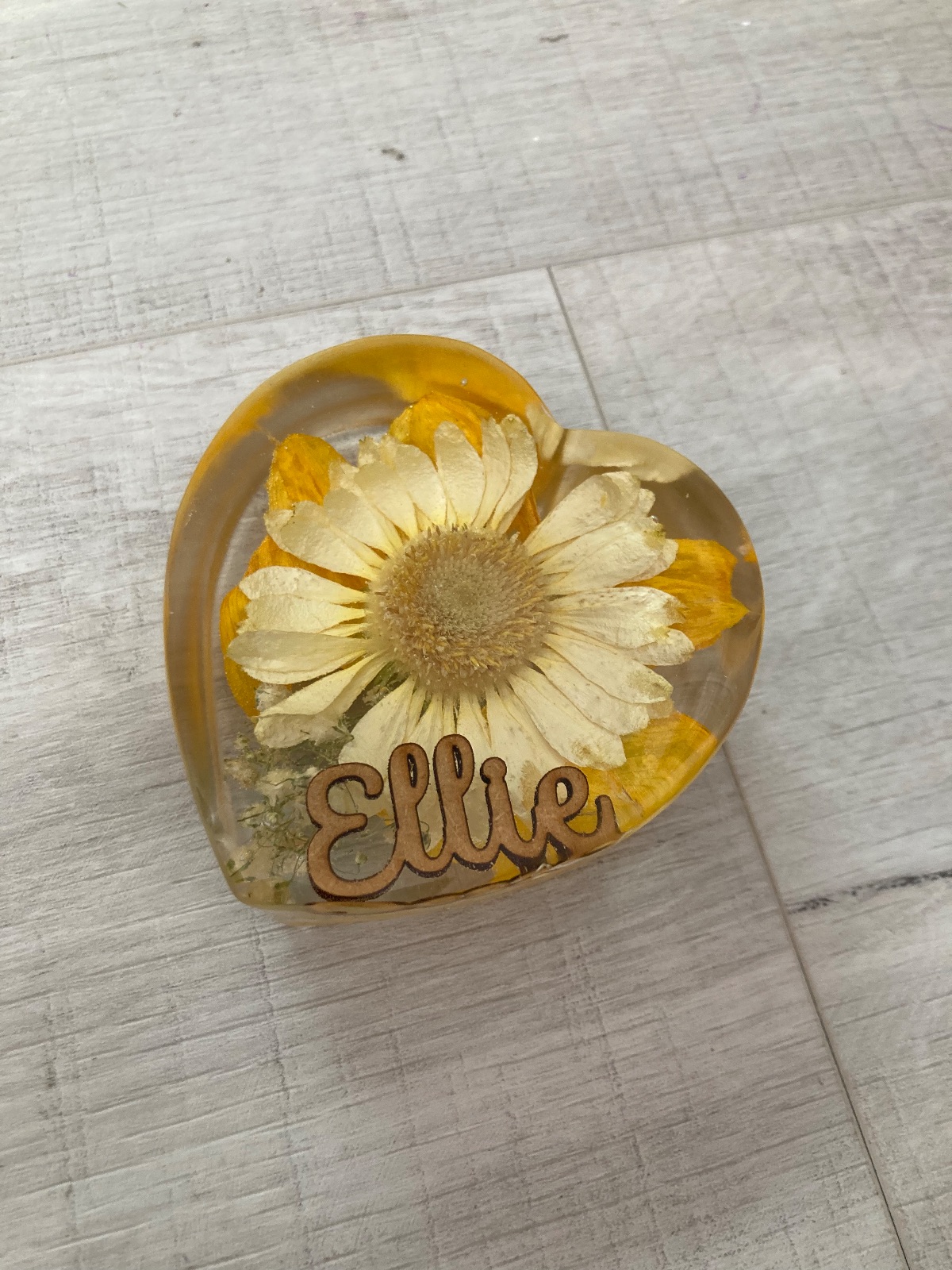 Nogard Creations -Image-39