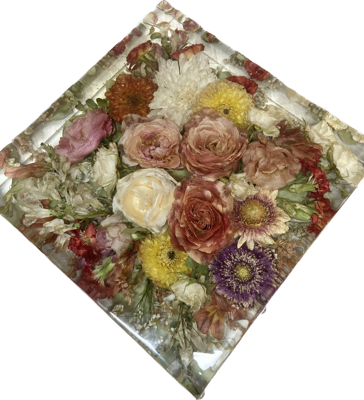 Nogard Creations -Image-1