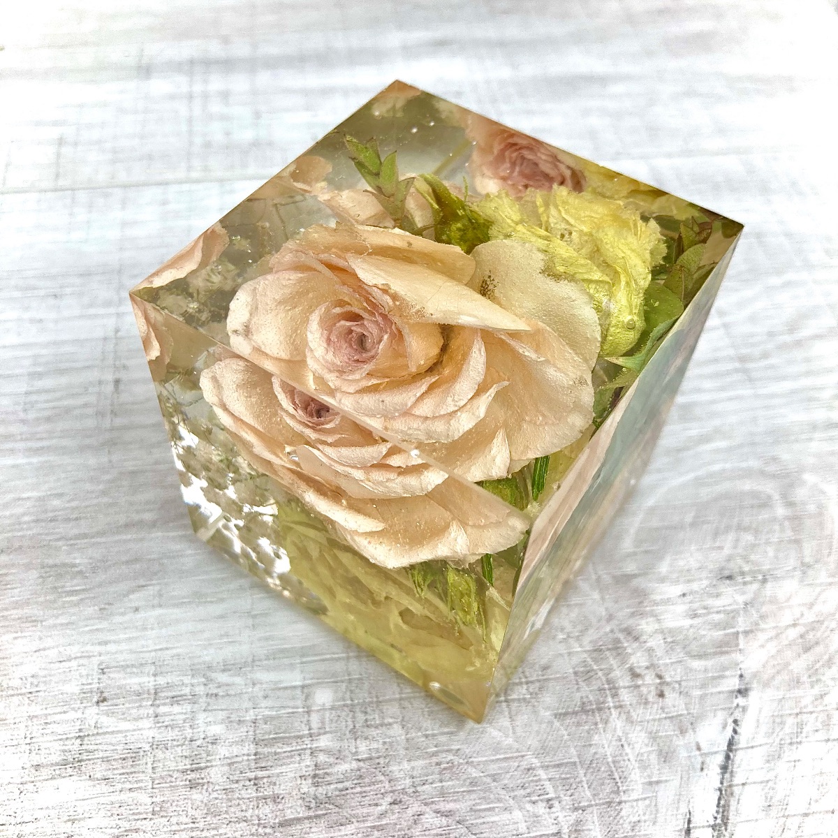 Nogard Creations -Image-87