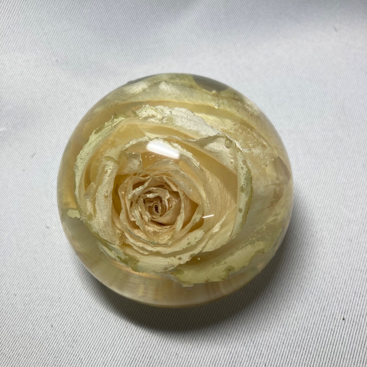 Nogard Creations -Image-14