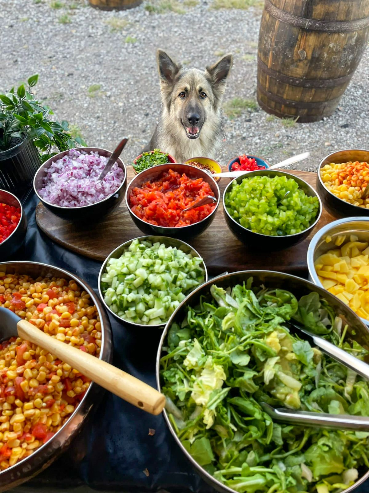 Chop and Chip Co-Image-3