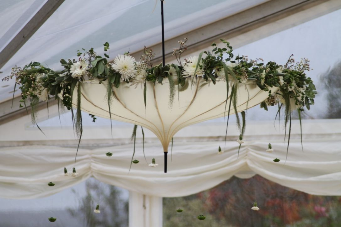 Willow & Sage-Image-1