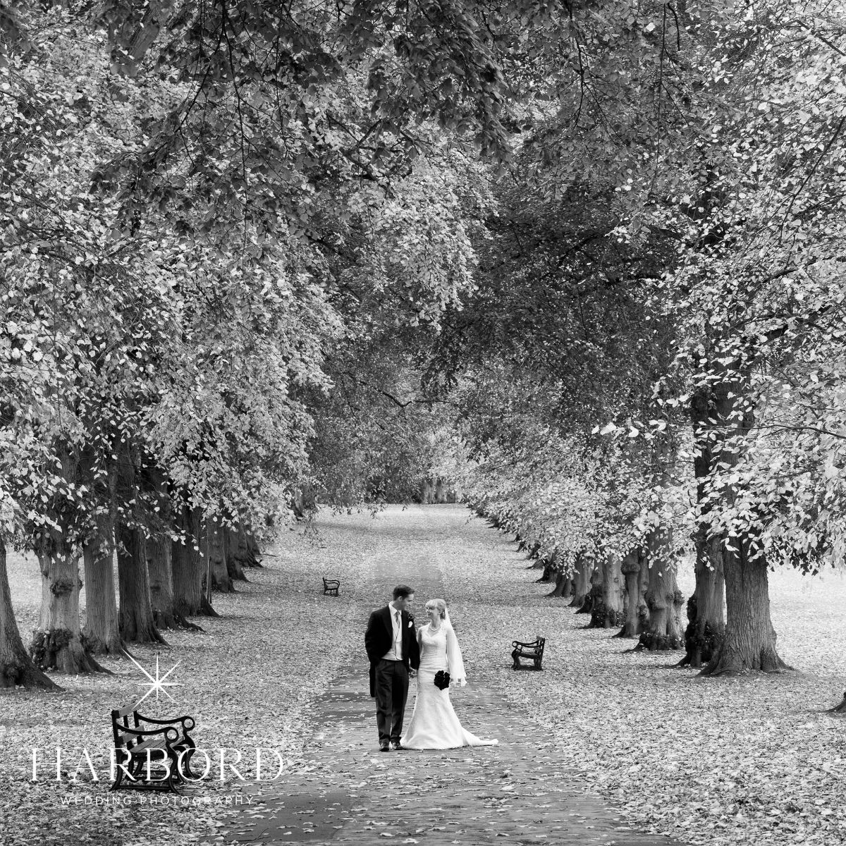 Alan Harbord Wedding Photography-Image-52