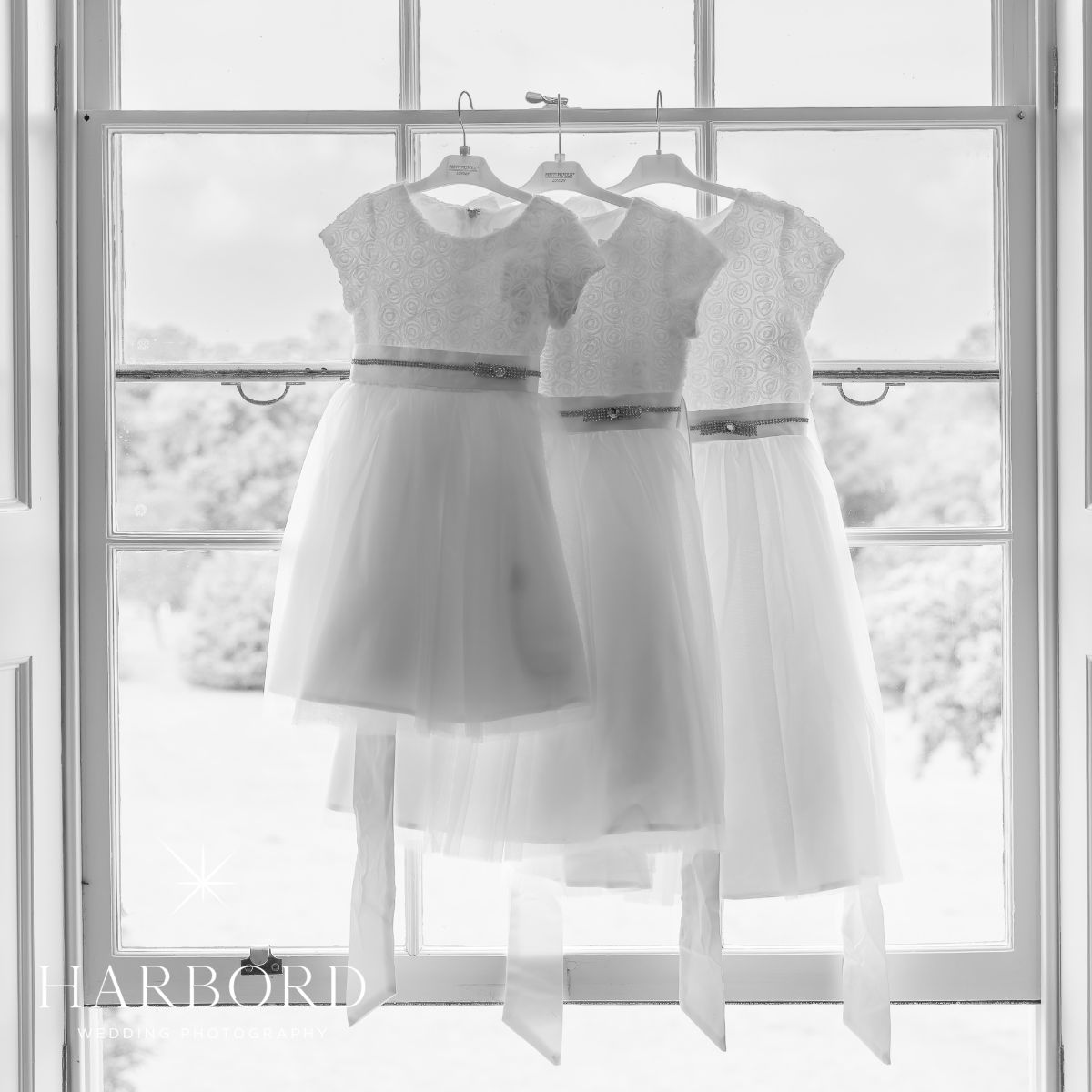 Alan Harbord Wedding Photography-Image-50