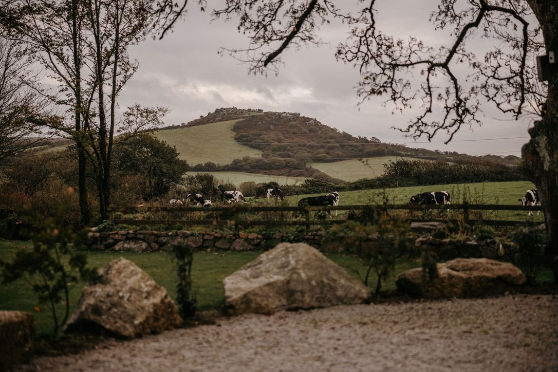 Gallery Item 28 for Avalen Farm