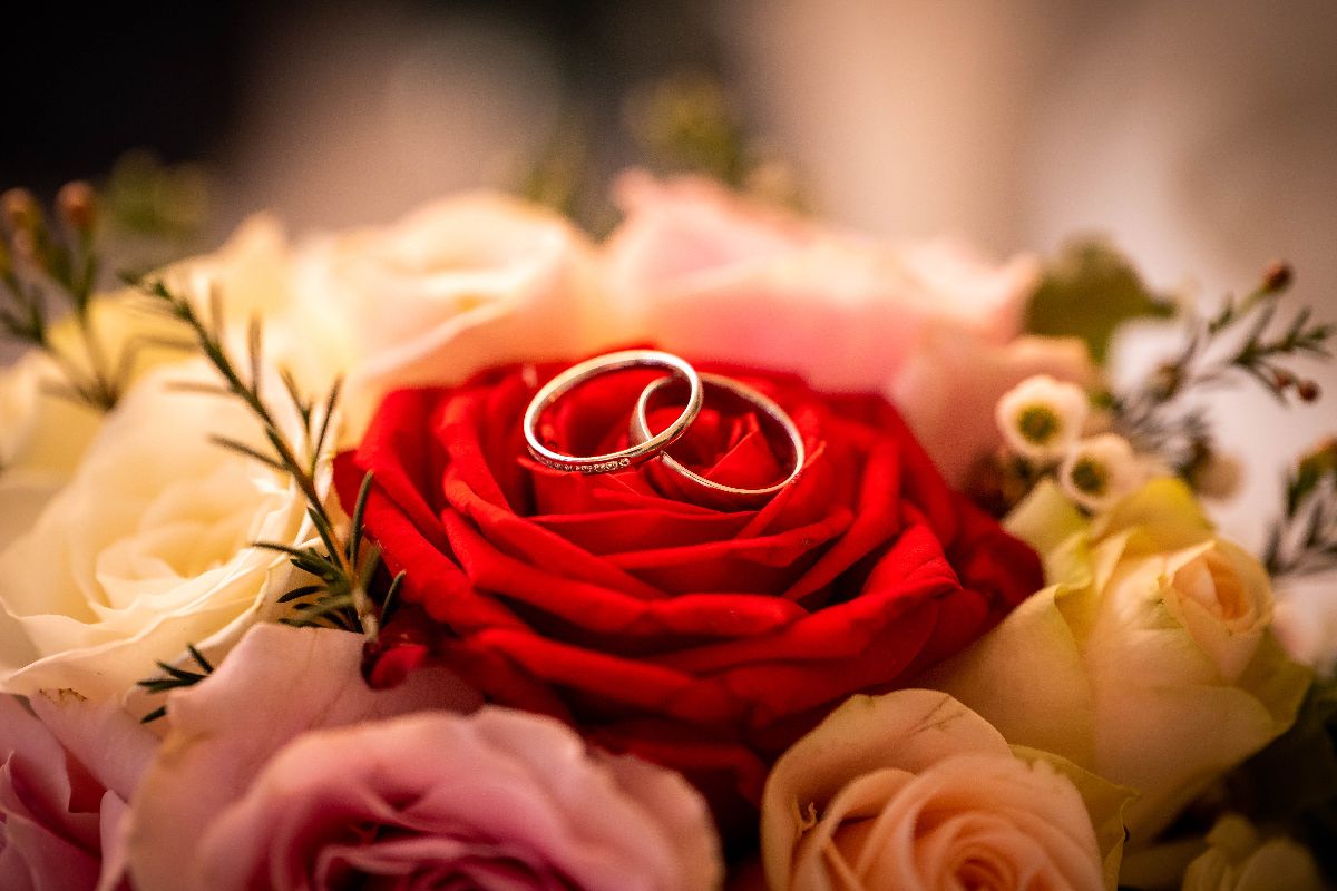 Alex Cossey Photography-Image-38