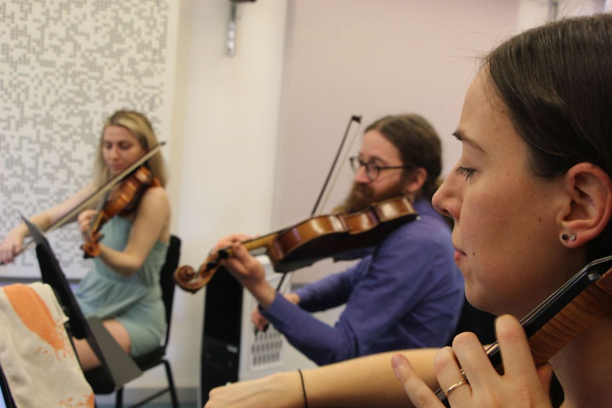 Flux Ensemble -Image-32