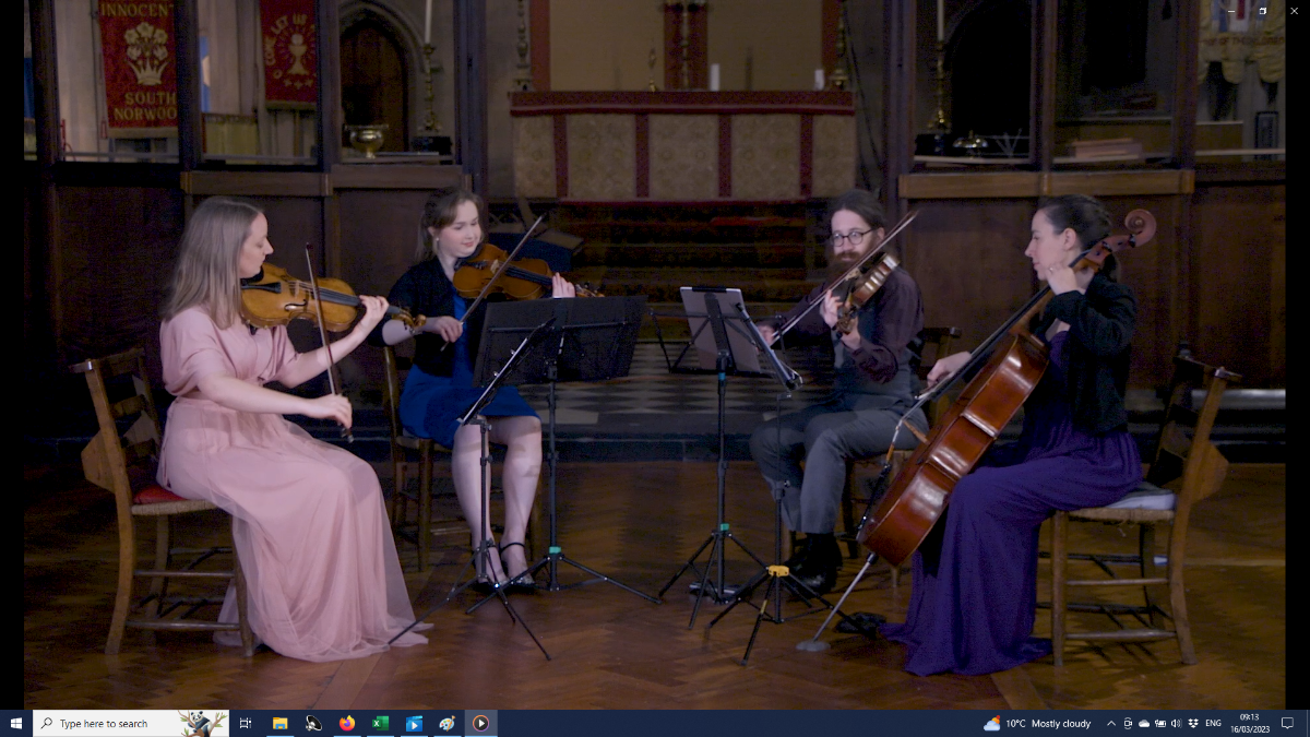Flux Ensemble -Image-46